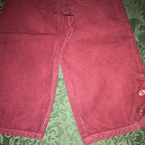 NWT gymboree puppy dog capris pants 2t primrose - Picture 5 of 7
